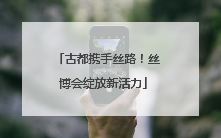 古都携手丝路！丝博会绽放新活力