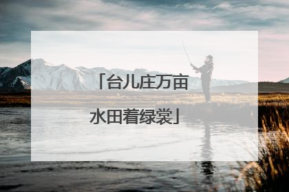 台儿庄万亩水田着绿裳