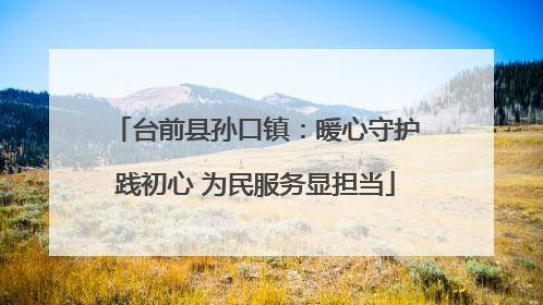台前县孙口镇：暖心守护践初心 为民服务显担当
