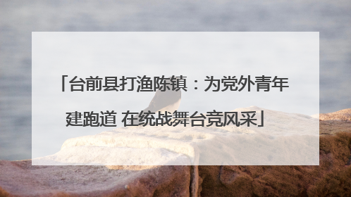 台前县打渔陈镇：为党外青年建跑道 在统战舞台竞风采