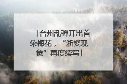 台州乱弹开出首朵梅花，“浙婺现象”再度续写