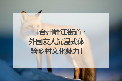 台州峰江街道：外国友人沉浸式体验乡村文化魅力
