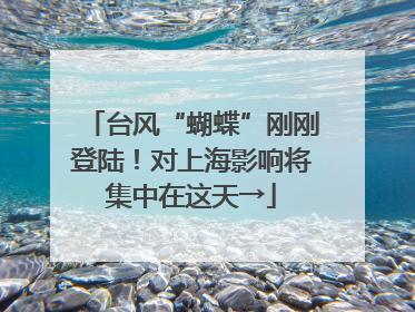 台风“蝴蝶”刚刚登陆！对上海影响将集中在这天→