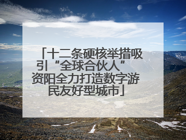 十二条硬核举措吸引“全球合伙人” 资阳全力打造数字游民友好型城市