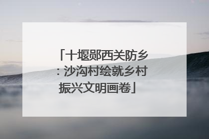 十堰郧西关防乡：沙沟村绘就乡村振兴文明画卷