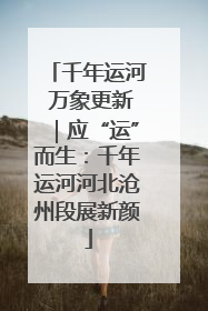千年运河 万象更新｜应“运”而生：千年运河河北沧州段展新颜