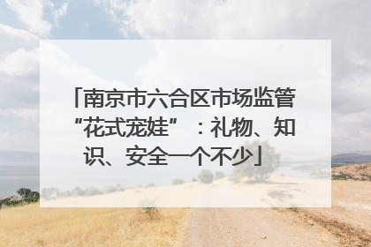 南京市六合区市场监管“花式宠娃”：礼物、知识、安全一个不少