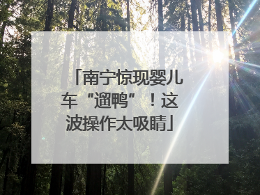 南宁惊现婴儿车“遛鸭”！这波操作太吸睛