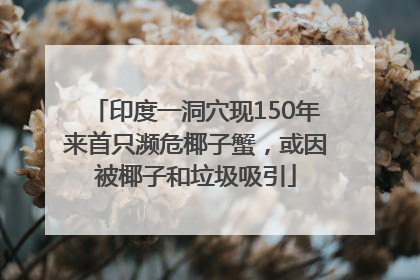 印度一洞穴现150年来首只濒危椰子蟹，或因被椰子和垃圾吸引