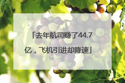 去年航司赚了44.7亿，飞机引进却降速