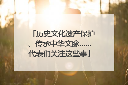 历史文化遗产保护、传承中华文脉……代表们关注这些事