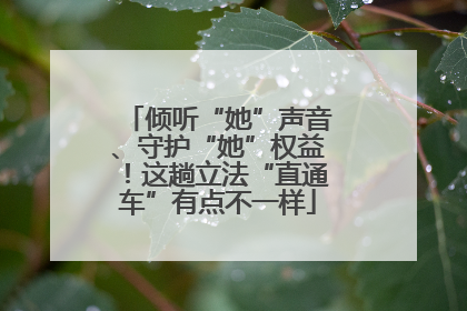 倾听“她”声音、守护“她”权益！这趟立法“直通车”有点不一样
