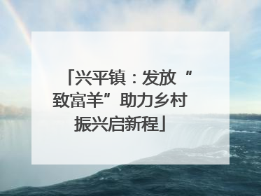 兴平镇：发放“致富羊”助力乡村振兴启新程
