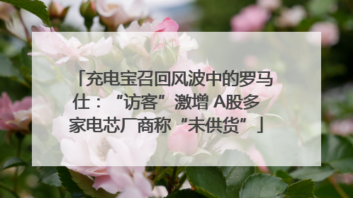 充电宝召回风波中的罗马仕：“访客”激增 A股多家电芯厂商称“未供货”