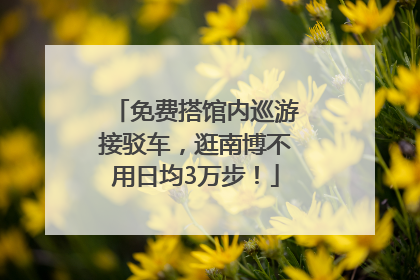 免费搭馆内巡游接驳车，逛南博不用日均3万步！