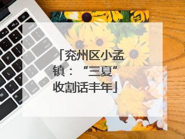 兖州区小孟镇：“三夏”收割话丰年