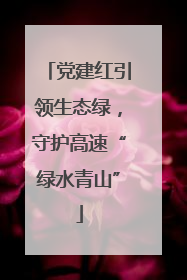 党建红引领生态绿，守护高速“绿水青山”