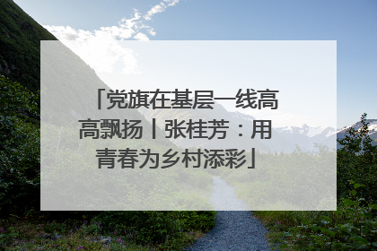 党旗在基层一线高高飘扬丨张桂芳：用青春为乡村添彩