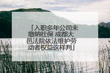 入职多年公司未缴纳社保 成都大邑法院依法维护劳动者权益这样判