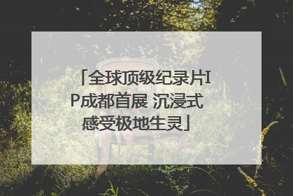 全球顶级纪录片IP成都首展 沉浸式感受极地生灵