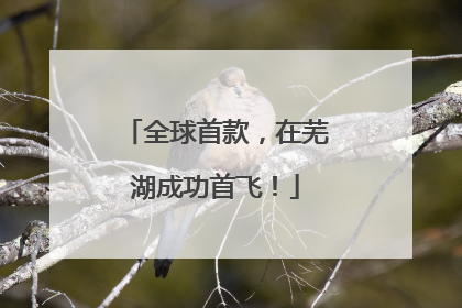 全球首款，在芜湖成功首飞！