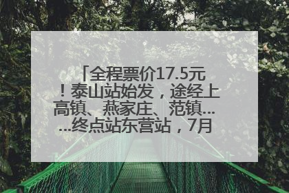 全程票价17.5元！泰山站始发，途经上高镇、燕家庄、范镇……终点站东营站，7月1日开通！