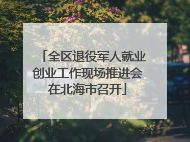 全区退役军人就业创业工作现场推进会在北海市召开