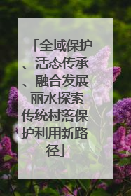 全域保护、活态传承、融合发展 丽水探索传统村落保护利用新路径