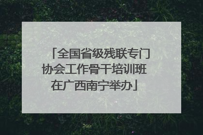 全国省级残联专门协会工作骨干培训班在广西南宁举办