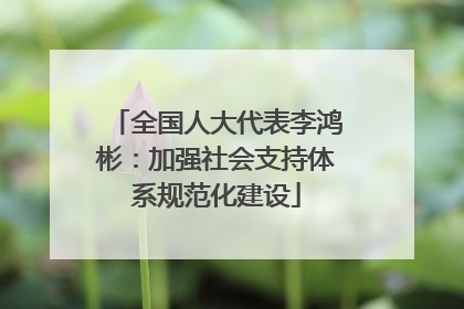 全国人大代表李鸿彬：加强社会支持体系规范化建设