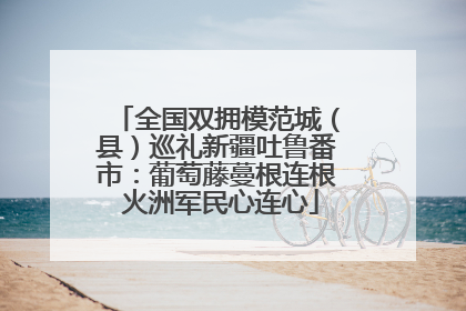 全国双拥模范城（县）巡礼新疆吐鲁番市：葡萄藤蔓根连根 火洲军民心连心