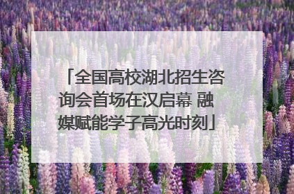 全国高校湖北招生咨询会首场在汉启幕 融媒赋能学子高光时刻
