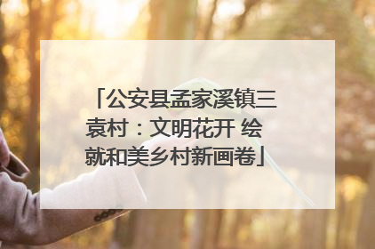 公安县孟家溪镇三袁村：文明花开 绘就和美乡村新画卷