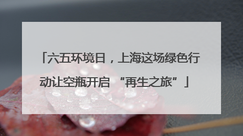 六五环境日，上海这场绿色行动让空瓶开启 “再生之旅”