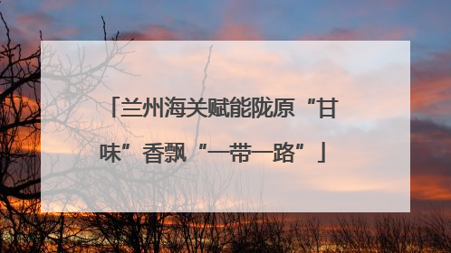 兰州海关赋能陇原“甘味”香飘“一带一路”