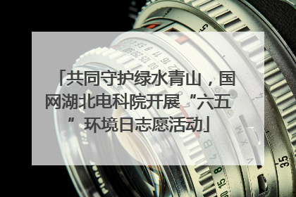 共同守护绿水青山，国网湖北电科院开展“六五”环境日志愿活动