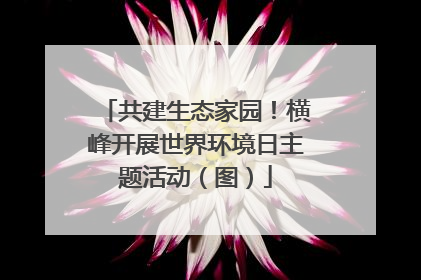共建生态家园！横峰开展世界环境日主题活动（图）