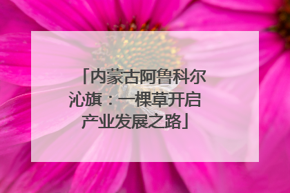内蒙古阿鲁科尔沁旗：一棵草开启产业发展之路