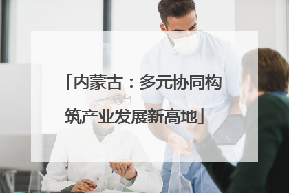 内蒙古：多元协同构筑产业发展新高地