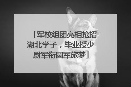 军校组团亮相抢招湖北学子，毕业授少尉军衔圆军旅梦