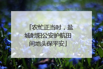农忙正当时，盐城射阳公安护航田间地头保平安