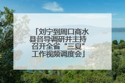 刘宁到周口商水县督导调研并主持召开全省“三夏”工作视频调度会