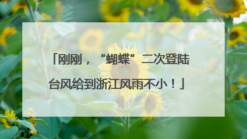刚刚，“蝴蝶”二次登陆 台风给到浙江风雨不小！