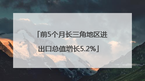前5个月长三角地区进出口总值增长5.2%