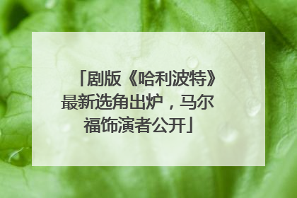 剧版《哈利波特》最新选角出炉，马尔福饰演者公开