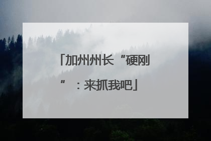 加州州长“硬刚”：来抓我吧