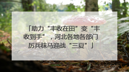 助力“丰收在田”变“丰收到手”，河北各地各部门厉兵秣马迎战“三夏”