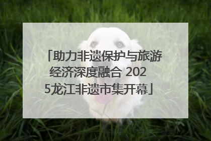 助力非遗保护与旅游经济深度融合 2025龙江非遗市集开幕