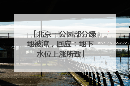 北京一公园部分绿地被淹，回应：地下水位上涨所致