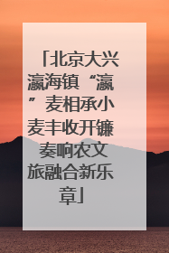 北京大兴瀛海镇“瀛”麦相承小麦丰收开镰 奏响农文旅融合新乐章